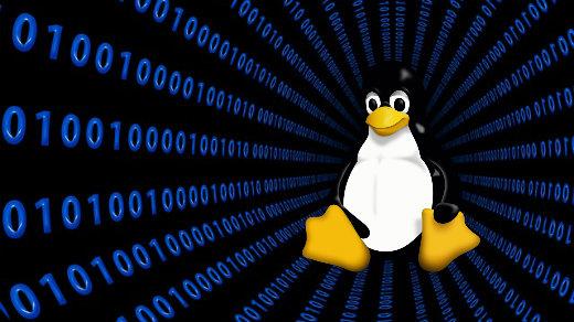 Linux Logo