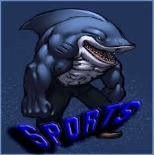 Sports Classic Image