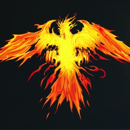 Install Phoenix Rises Kodi Addon