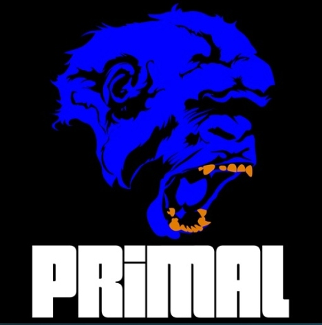Install Primal Kodi Addon