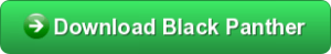Black Panther button