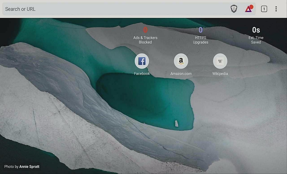 Step 22 Install Brave via Filelinked