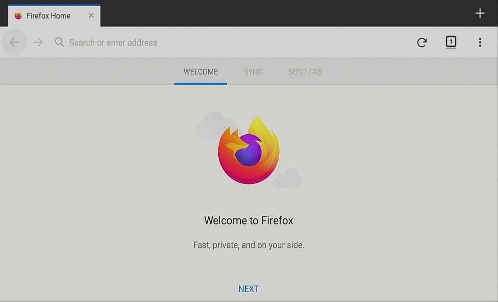 Step 22 Install Firefox via Filelinked