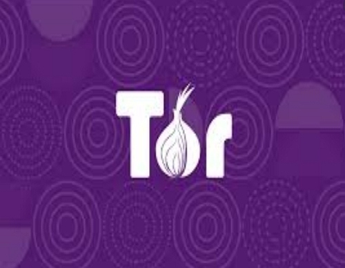 tor logo