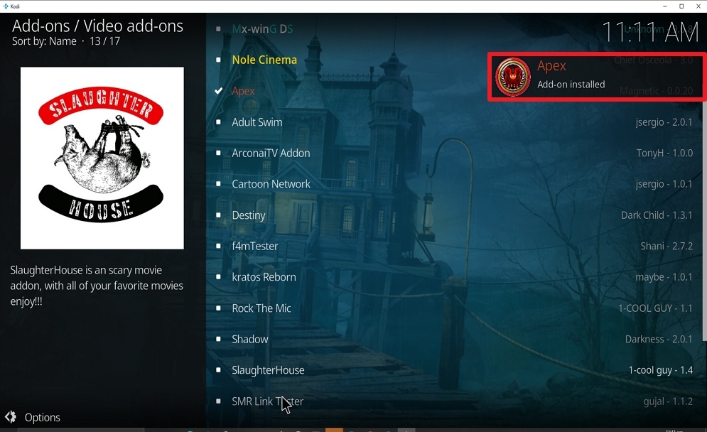 Step 25 Install Apex kodi addon
