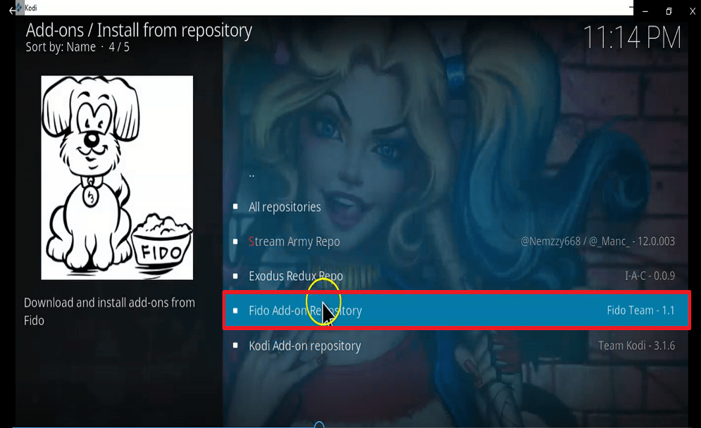 Step 21 Install fido kodi addon