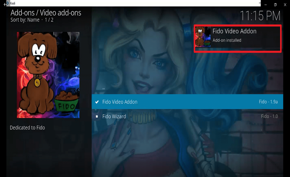 Step 26 Install fido kodi addon