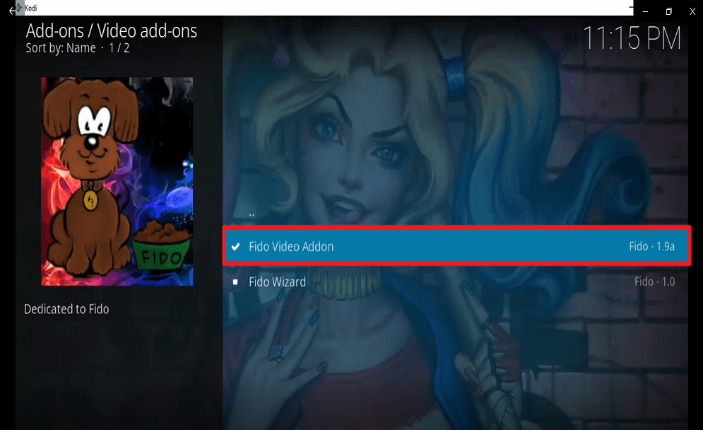 Step 27 Install fido kodi addon