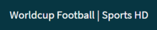 World Football Cup Logo