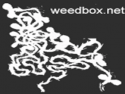 multilive weedbox.net logo