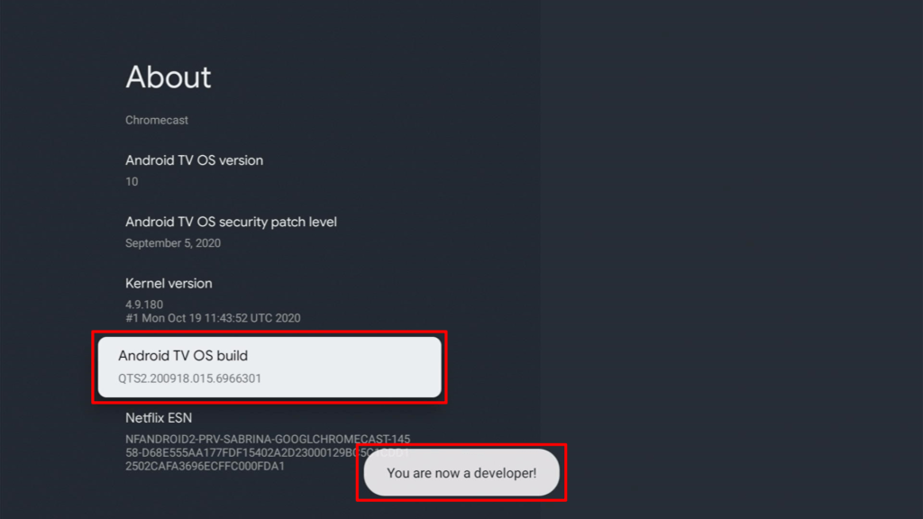 Install ZiniTevi App on Google Chromecast Step 4
