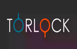 Torlock LOGO