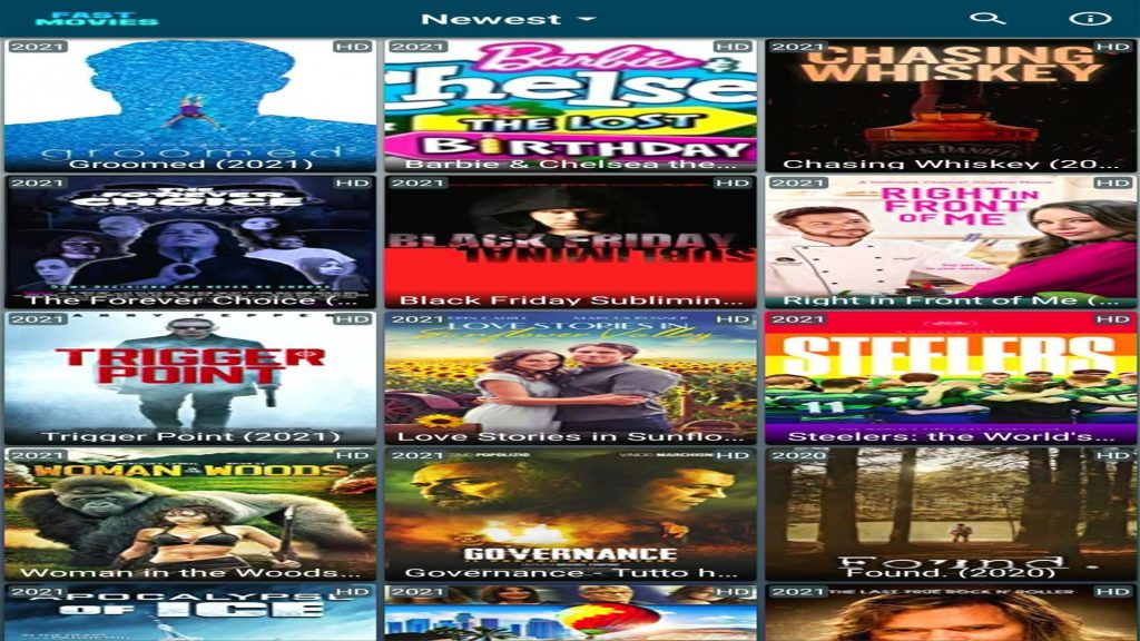 Install Fast Movies3