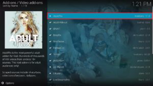 AdultFlix 4
