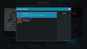 AdultFlix 6