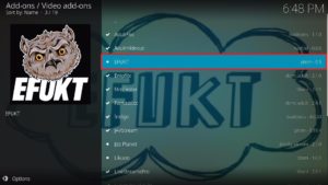 EFUKT 1
