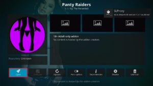 Panty Raiders 3