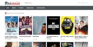 Vidcloud Interface