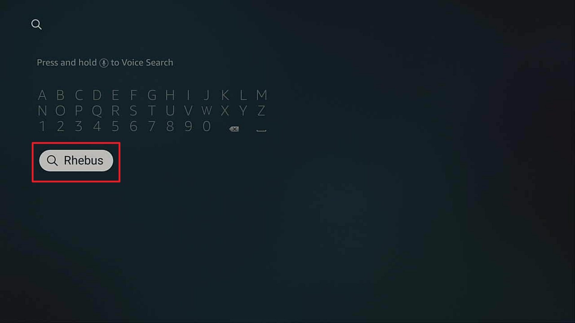 Step 2 Install Rhebus Movies + TV App On Firestick