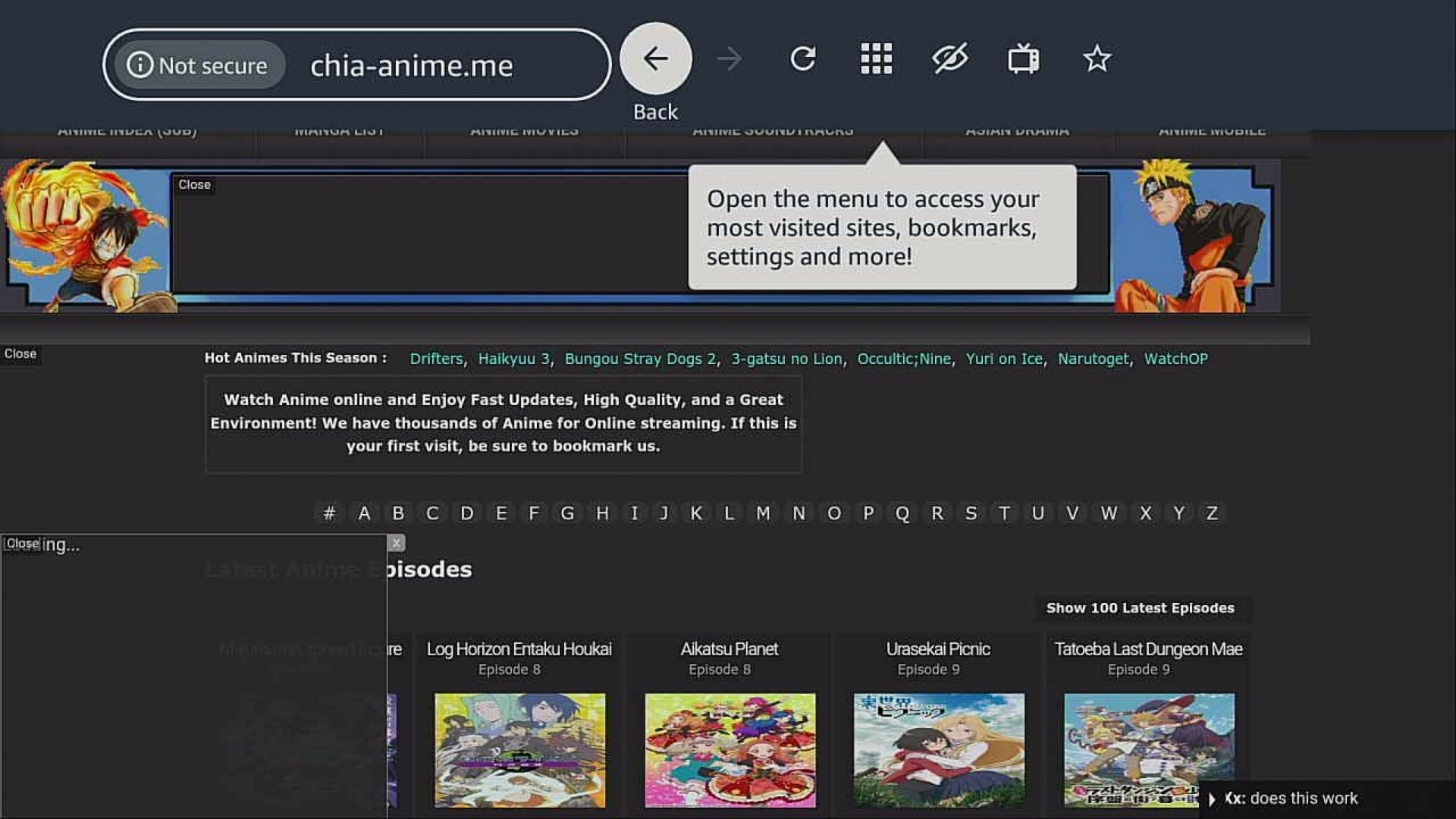 Step 8 Chia-Anime on Firestick