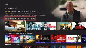 How to Update Firestick (19)
