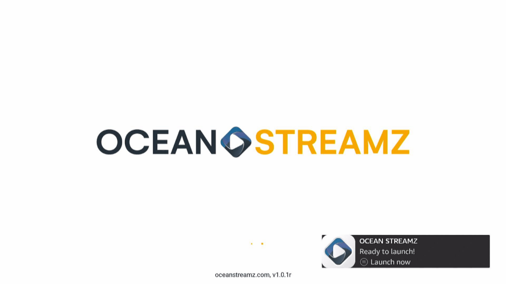 Install Oceanstreamz App on Firestick Step 19