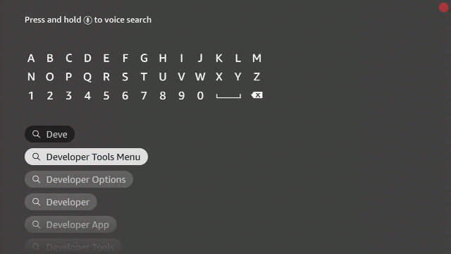 Developer Tools Menu