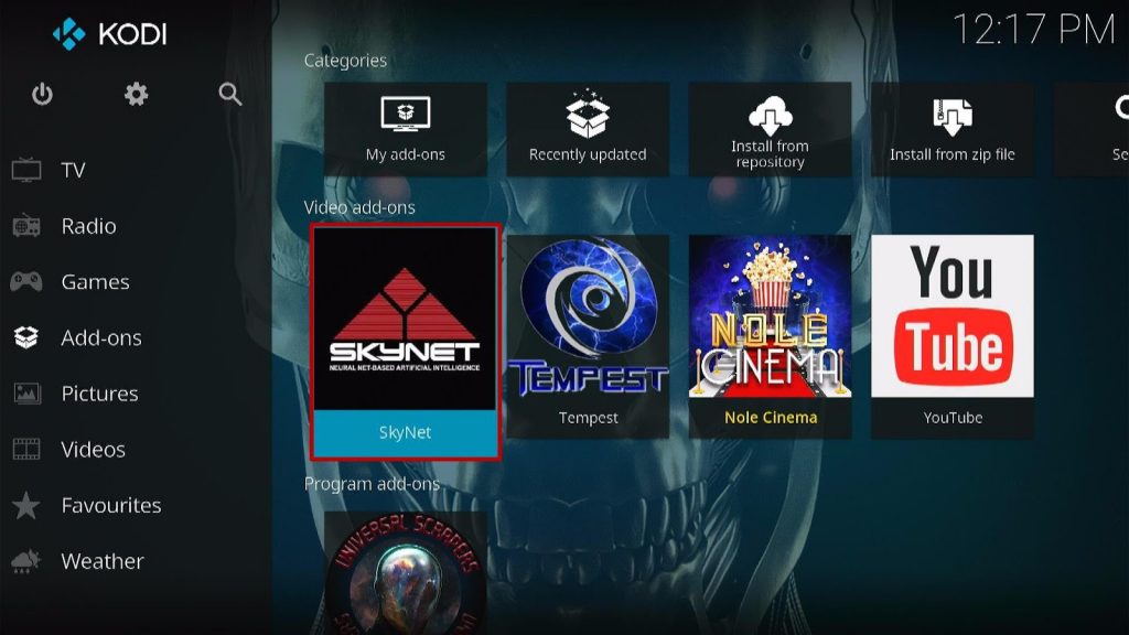 Install Skynet Kodi Addon 24