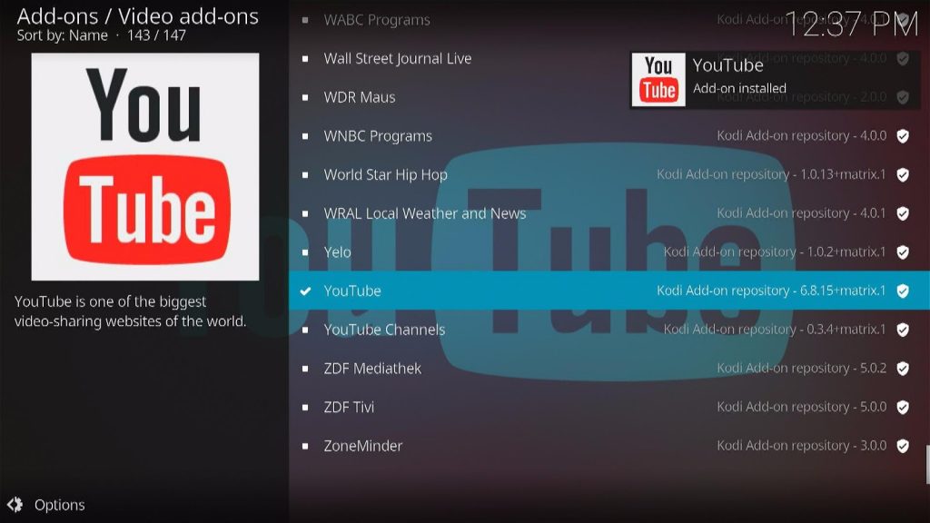 Install the YouTube Kodi Addon Step 8