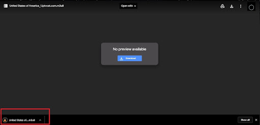 Use the IPTV Pro App 4