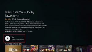 Black Cinema and TV by Fawesome 6