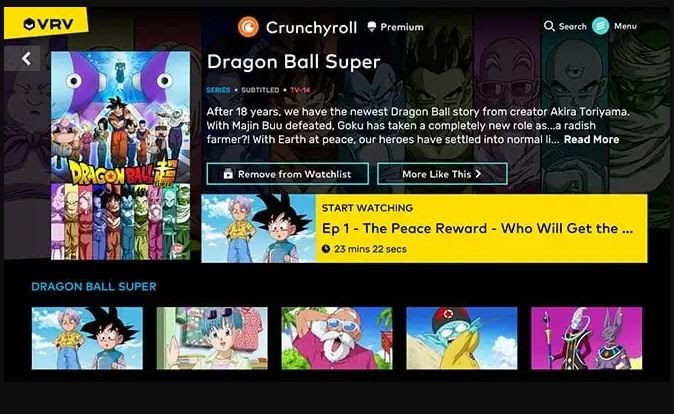 Features of VRV