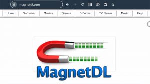 Magnet DL Firestick 4