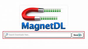 Magnet DL Firestick 5
