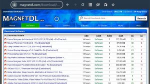 Magnet DL Firestick 6
