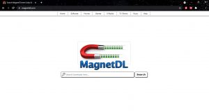 Magnet DL Windows 4