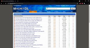 Magnet DL Windows 5
