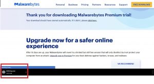 Malwarebytes Windows 5