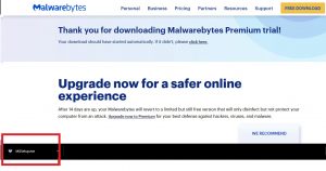 Malwarebytes Windows 6