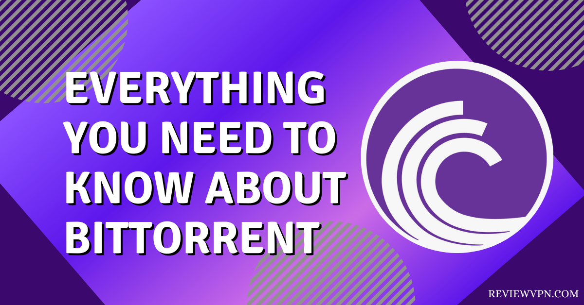 Everything You Need To Know About BitTorrent