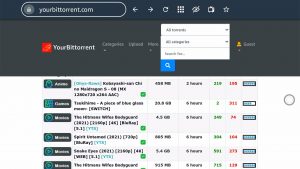 yourbittorrent Firestick 4