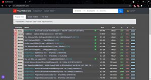 yourbittorrent Windows 4