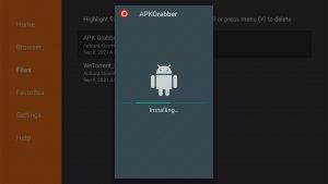 Install APKGrabber on Firestick 17