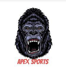 Apex Sports