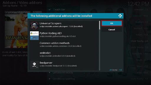 Install BewbsandBeer Kodi Addon 20