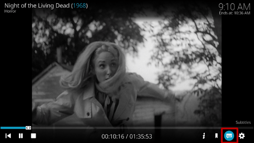 Play a Movie or TV Show and Download a Subtitle 2