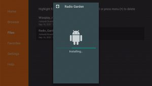 Install Radio Garden on Firestick 17