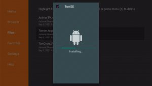 Torrse Firestick Install 4