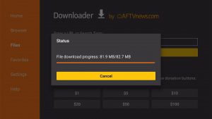 Install Wiseplay on Firestick 15