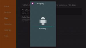 Install Wiseplay on Firestick 17